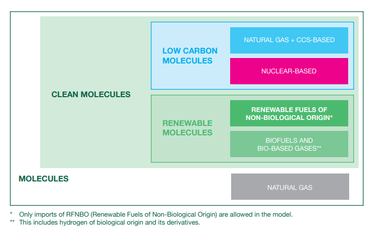 Figure&nbsp;1. Molecules assessed and their categorization in the context of this study. 